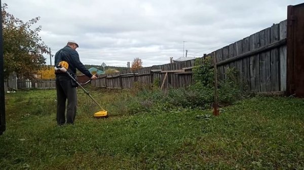 Бензотриммер Champion T 256-2.Как косит.