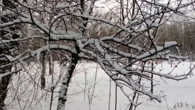 Самое время подружиться с птицами. It's time to make friends with the birds. смотреть онлайн