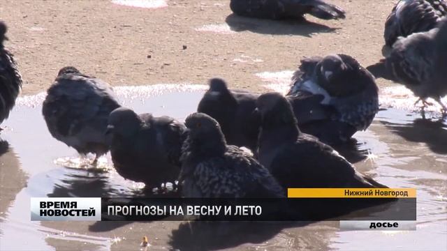 Стало известно, какой будет весна в Нижегородской области смотреть онлайн