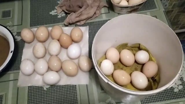 Вечный спор птицеводов. Мыть ли яйца перед закладкой в инкубатор. смотреть онлайн