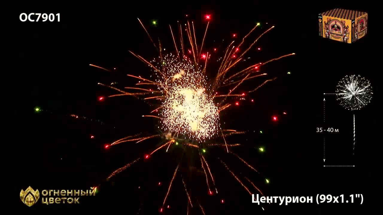 OC7901 смотреть онлайн
