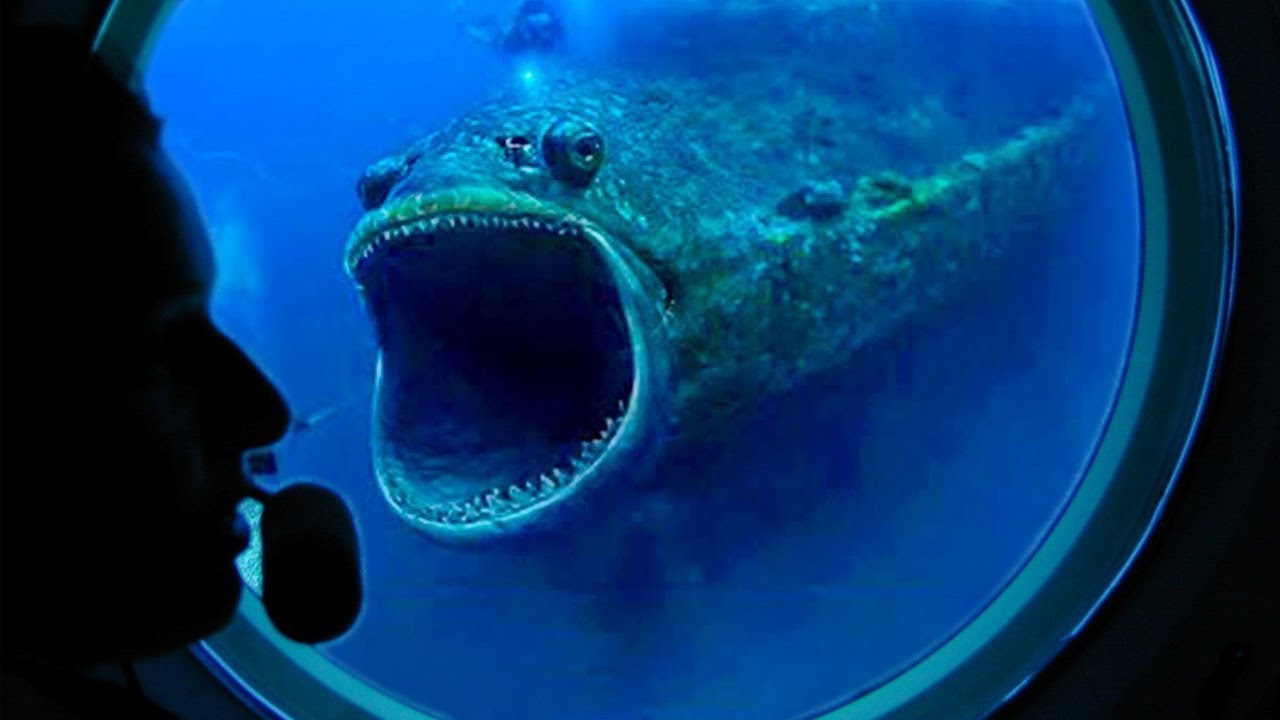 То, Что Они Сняли на Камеру в Марианской Впадине Поразило Весь Мир смотреть онлайн