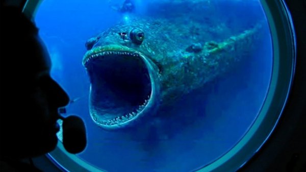 То, Что Они Сняли на Камеру в Марианской Впадине Поразило Весь Мир