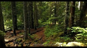 Утренняя Медитация 10 МИНУТ | Наполнение Энергией и Визуализация желаний  | Настрой на хороший день