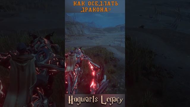 Как словить и оседлать дракона? Hogwarts Legacy | Хогвартс Наследие мод на дракона гайд #shorts смотреть онлайн