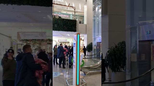 мега-икеа Химки смотреть онлайн