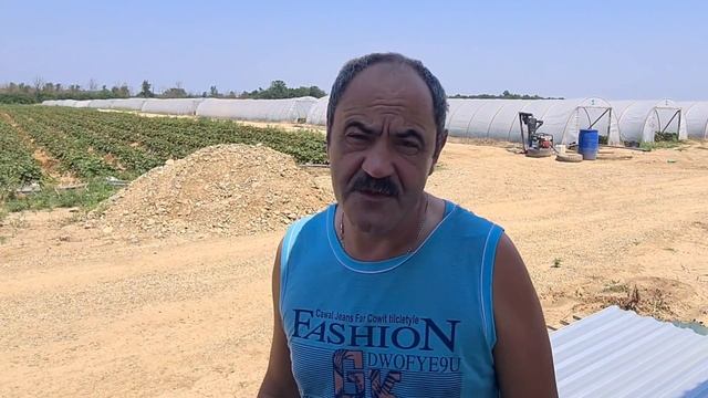 Система подкормок от Супер-Агро на землянике - отзыв фермера смотреть онлайн