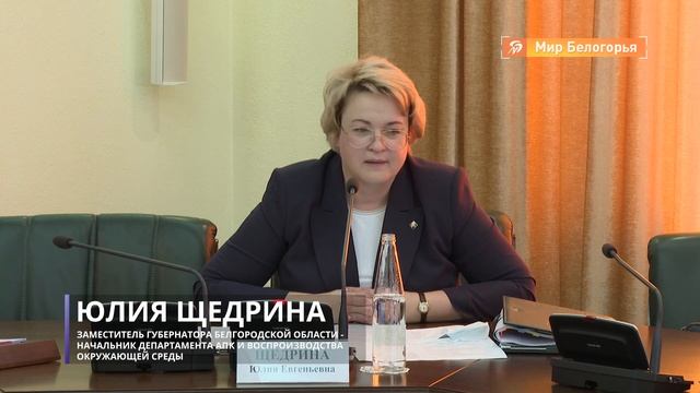 Замминистра сельского хозяйства в Белгороде смотреть онлайн