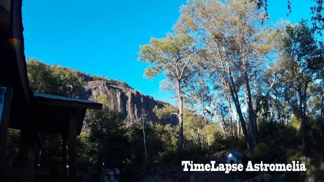 Time Lapse Astromelia смотреть онлайн