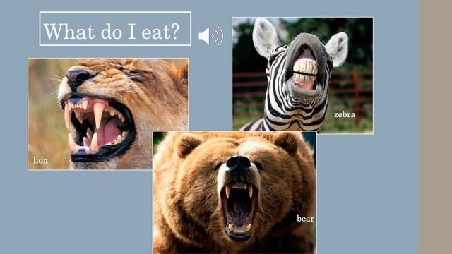 1.10A external characteristics of animals-Explain смотреть онлайн