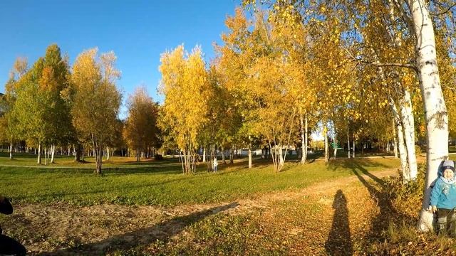 ЗОЛОТАЯ прогулка Осень 2016год Golden Autumn Walk 2016 смотреть онлайн