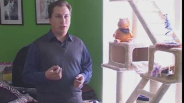 КОТОПЕС 02 03