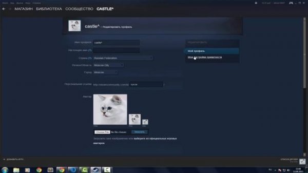 Как открыть профиль Steam