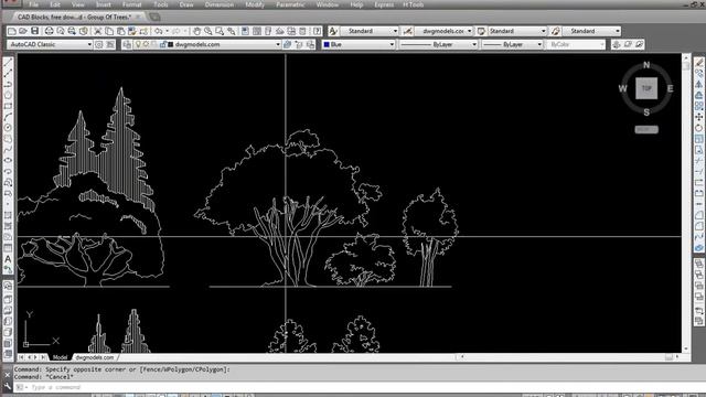 CAD Blocks, free download Group Of Trees 2018 смотреть онлайн