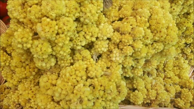 Bodrum Gümüşlük Egede şirin Bir Belde Denize Gömülmüş Antik Tarihi Kent Myndos