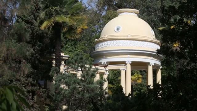 Cherry blossom in the park. Цветение сакуры в парке "Дендрарий" в Сочи смотреть онлайн