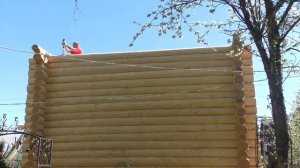 собираем сруб дома из бревна