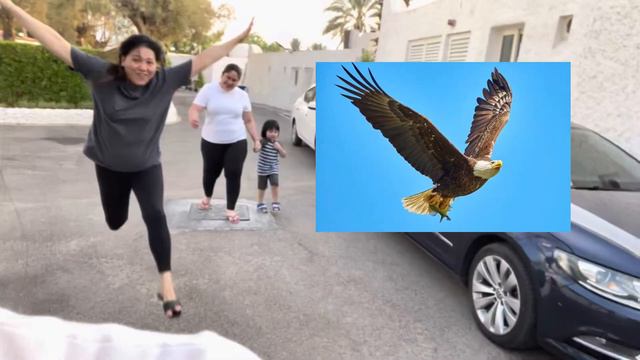 Marbella Resort Sharjah #sharjah #marbellaresort #staycation