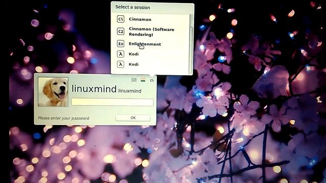 Install Enlightenment E20 Desktop Environment in Linux Mint / Ubuntu смотреть онлайн