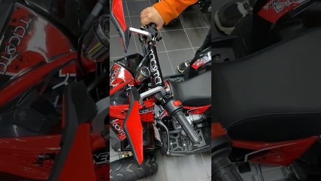 4-х тактный детский квадроцикл! Yacota Renegade mini #квадроцикл смотреть онлайн