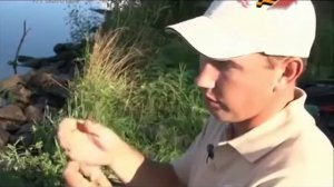 Ловля леща на фидер  Канал им Москвы