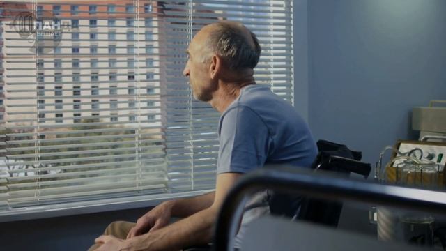 В окно больницы, каждый день стучал голубь, когда люди узнали, почему он это делал, они испытали шо смотреть онлайн