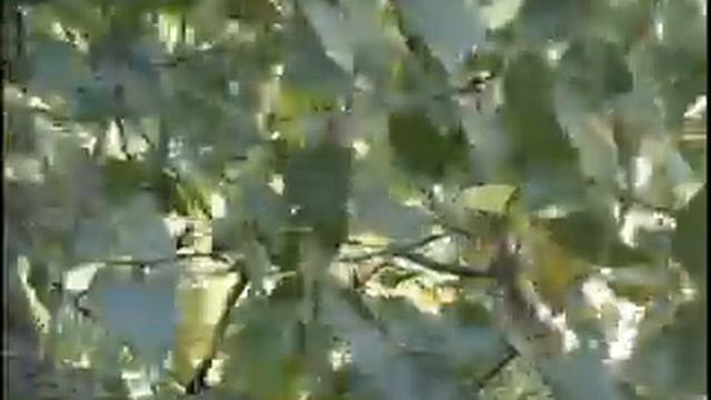 За окном смотреть онлайн