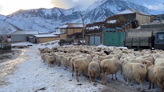 Село Куруш - не только самое южное в России, но и самое высокогорное в Европе. #дагестан