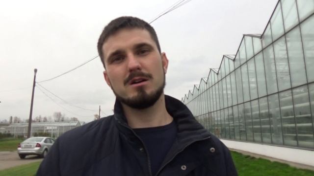 Зачем нужны шмели и пчелы в теплицах Опыление и урожайность смотреть онлайн