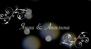 Януш и Ангелина 2-я часть . ЦЫГАНСКАЯ СВАДЬБА . Ресторан "Несветай"