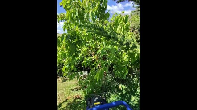 Burcunun Blogu Ve Temizlik Benim Işim! Yapabilir Miyim?
