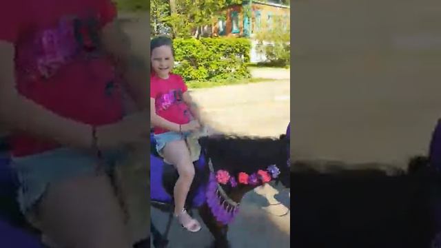Суздаль я катаюсь на пони смотреть онлайн