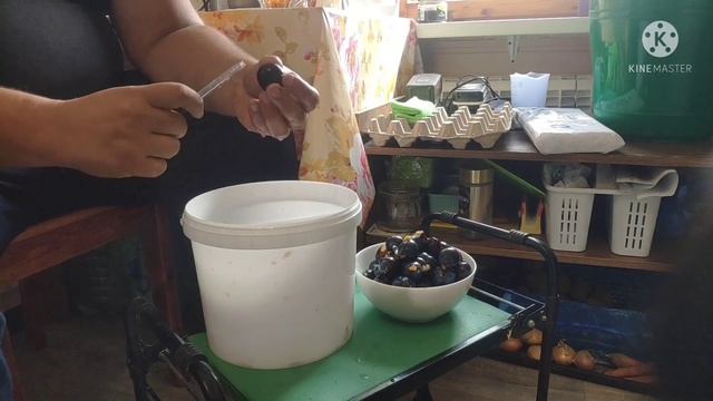 Отделение косточки от сливы , быстро и просто смотреть онлайн