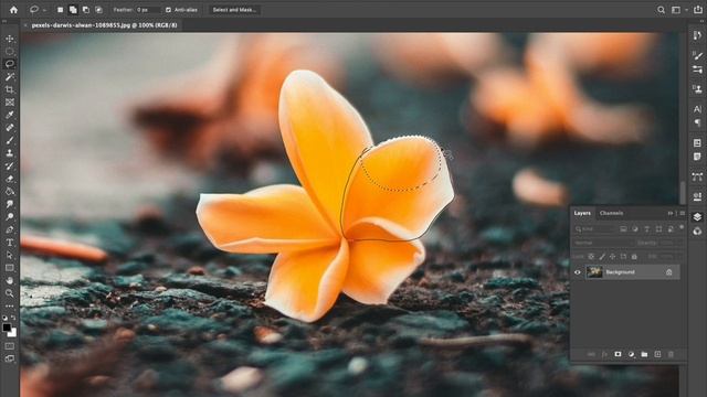 How To Use Lasso Tool In Photoshop 2022 | Adobe Photoshop Tutorial For Beginners смотреть онлайн