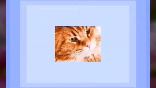 Няшные картинки смотреть онлайн