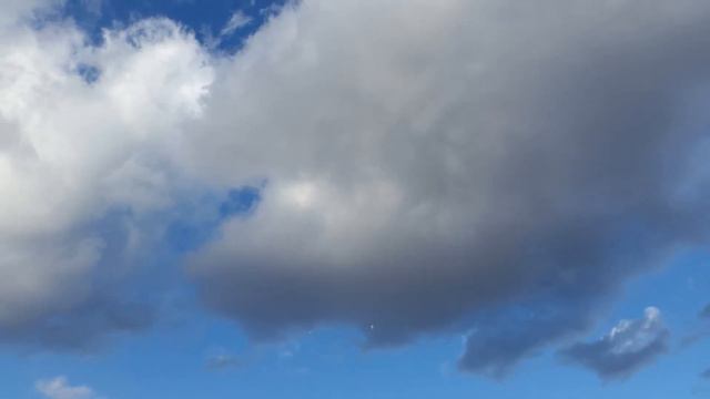 Снегом стать. ЖинЖин. смотреть онлайн