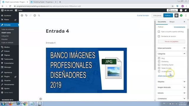Cómo Crear Menús y Submenús en WordPress 2023 смотреть онлайн