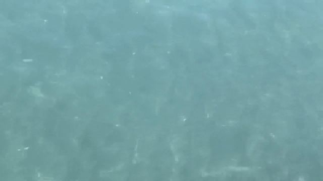 18.05.2023. Погода в Сочи в мае.Смотри на Чёрное море каждый день.