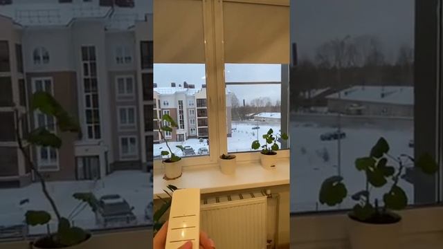 Рулонные UNI 2 с двигателем и пультом Onviz смотреть онлайн