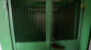 Лифт в квартире - Двери шахты 1 этажа и свет в кабине