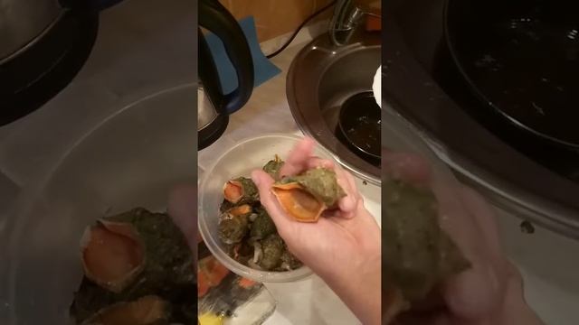 Рапаны в сметане