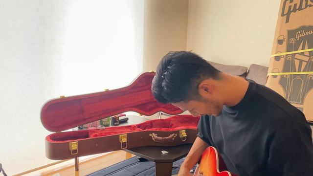 ギター買った！【Gibson Les Paul Standard ’50s】 смотреть онлайн