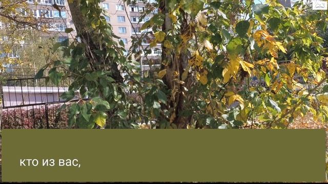 №11. "Молитва Веры". Вальтер Камминс. Хлеб Жизни. смотреть онлайн