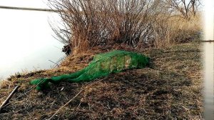 Какая приманка лучше подходит для ловли раков.