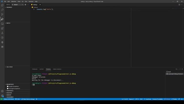 VSCode - Setup Javascript Debugger смотреть онлайн
