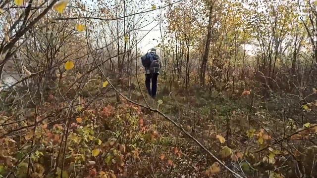 Рыбалка 15.10.2023 смотреть онлайн