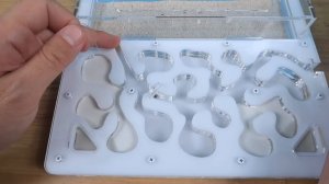 Переселение муравьев в новый формикарий! Что-то пошло не так...