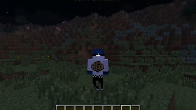 Minecraft : Skin Showcase : Cookie Monster смотреть онлайн