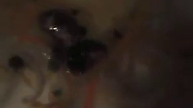 Щи с трюфелем и савойской капустой смотреть онлайн