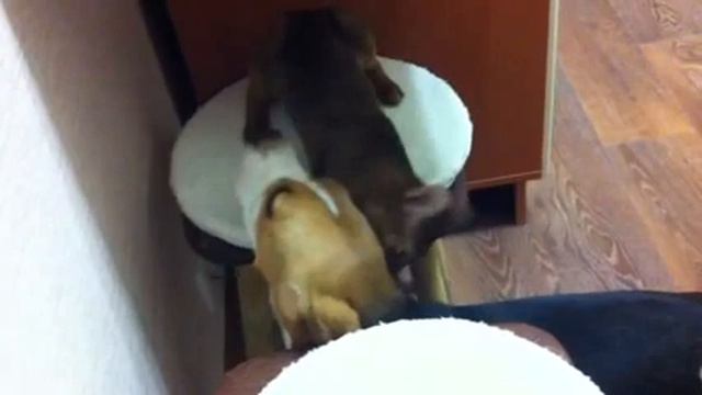 НЕРЕАЛЬНАЯ ЛЮБОВЬ смотреть онлайн